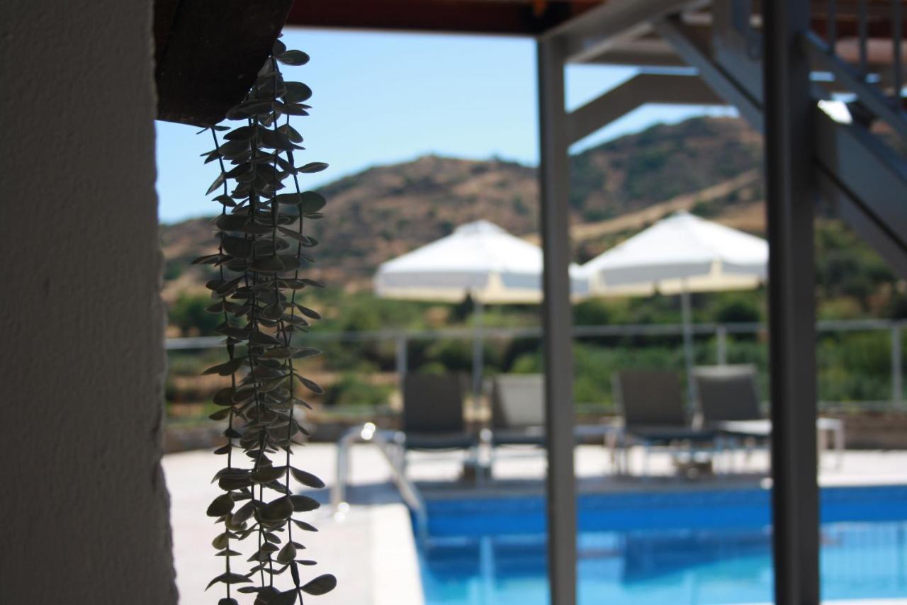 Holiday Apartments,Polynikis Sea-Cret, Pachyammos Bagian luar foto