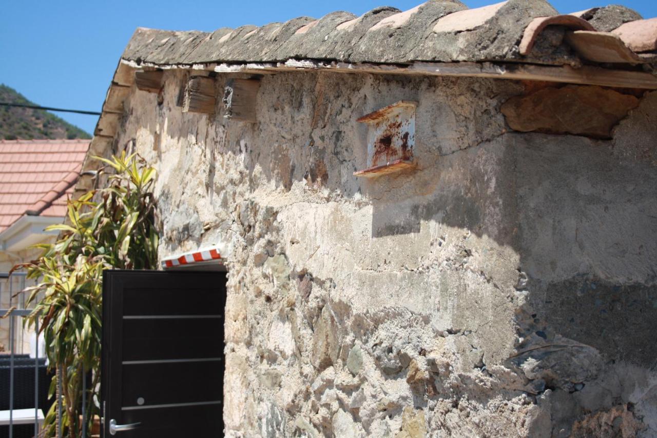 Holiday Apartments,Polynikis Sea-Cret, Pachyammos Bagian luar foto